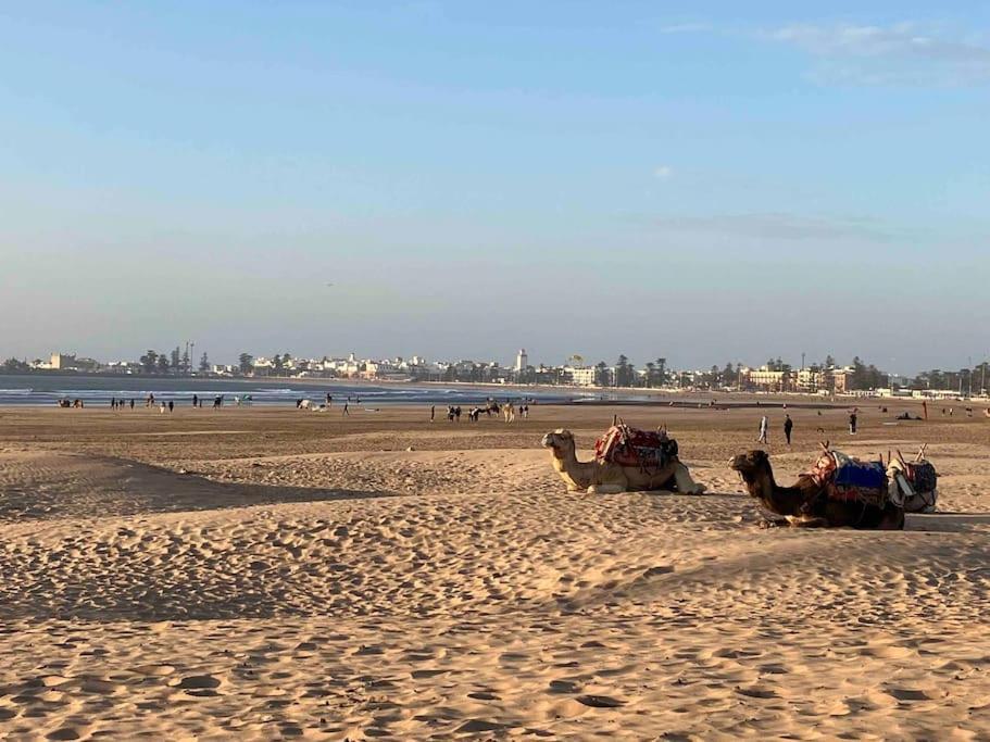 Dar Aya Essaouira Διαμέρισμα Εξωτερικό φωτογραφία