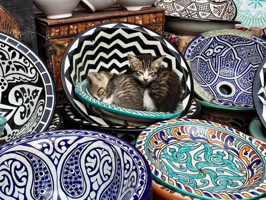 Dar Aya Essaouira Διαμέρισμα Εξωτερικό φωτογραφία